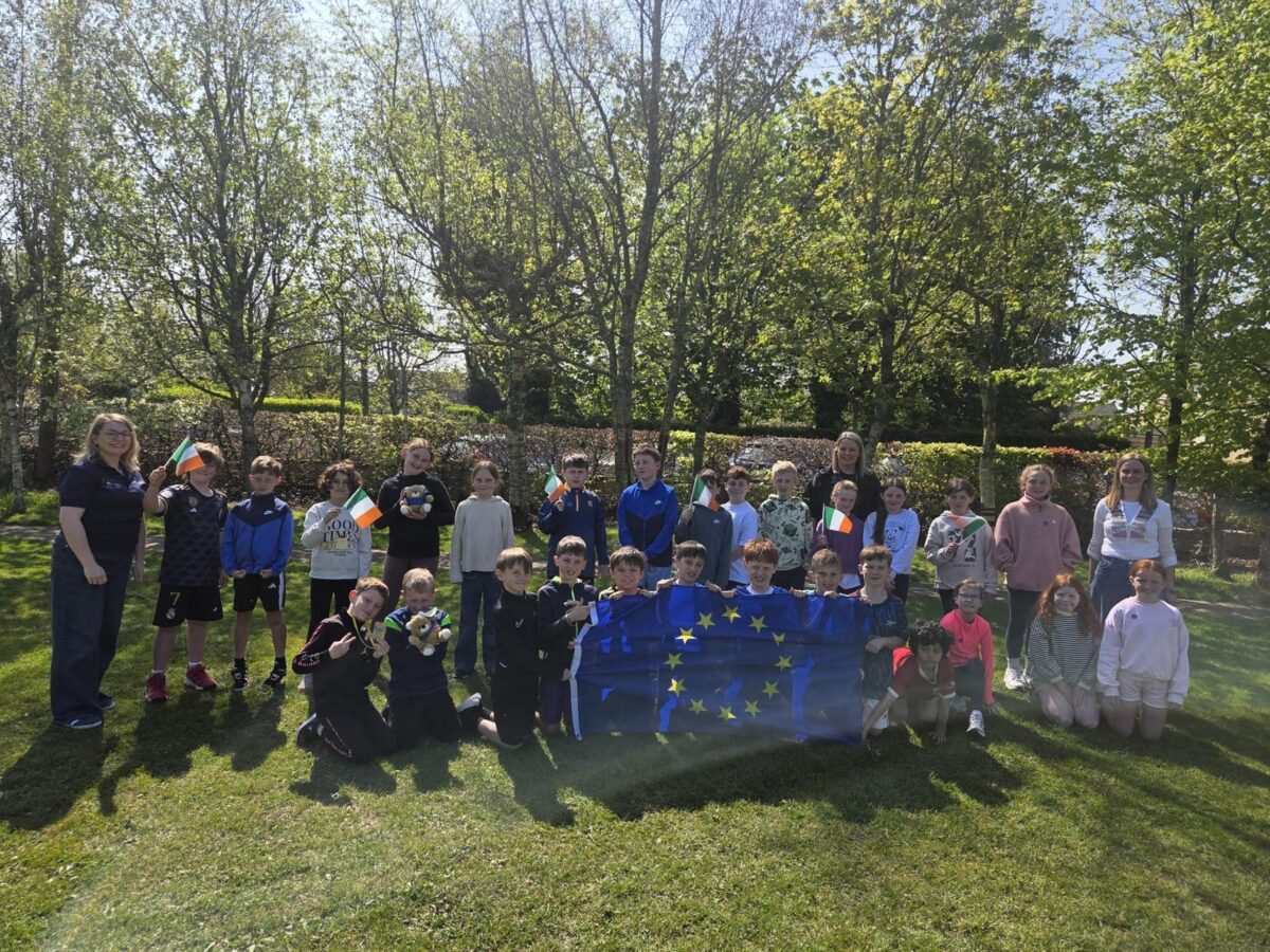 Piercestown NS Wexford 5 Classgroup